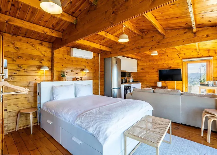 Wood House Amazing View Douro